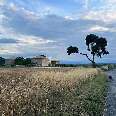 Charming Village House With Roof Top Terrace! Thezan-les-Beziers Екстер'єр фото